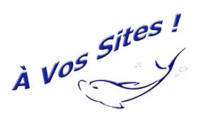 Logo Avossites
