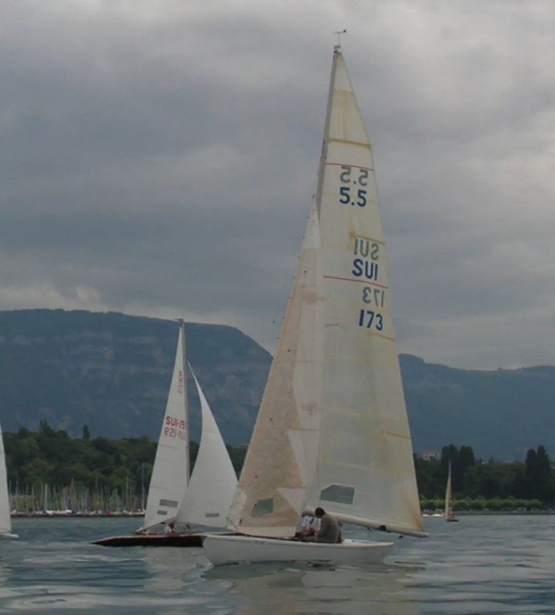 0384_SUI_159_2008.webp