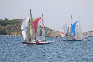 0486_Regatta_Risoer.webp